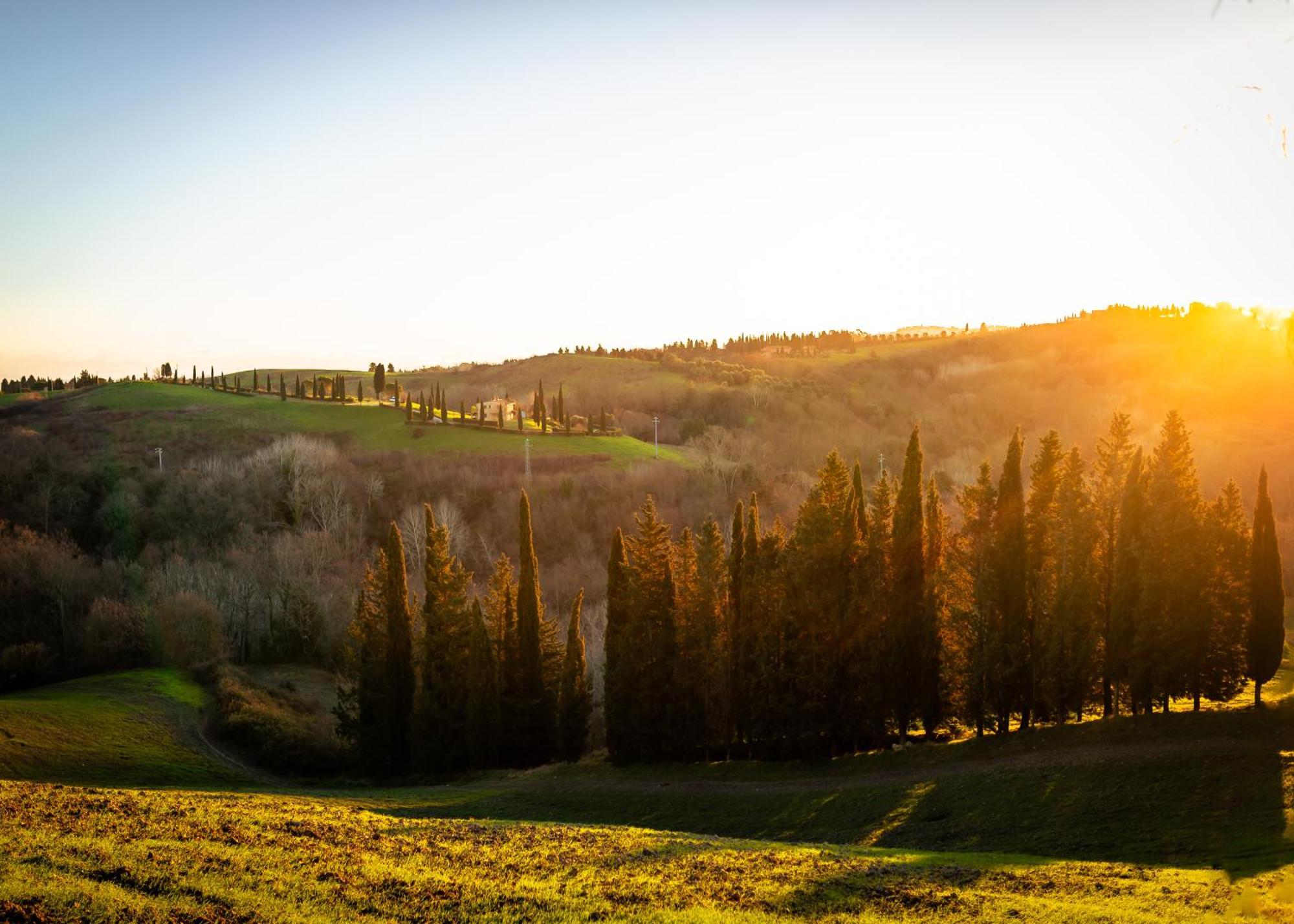 Vila Borgo Il Poggio Agritourismo Montaione Exteriér fotografie