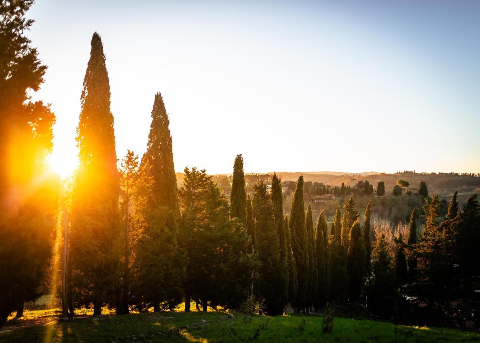 Vila Borgo Il Poggio Agritourismo Montaione Exteriér fotografie